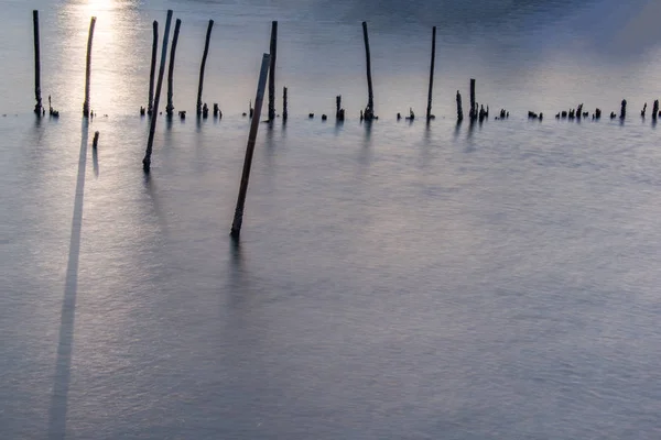 Mangrove forest wave protection line  in twilight time at Bang K — Stock Photo, Image