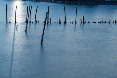 Bang K alacakaranlık zaman Mangrove Orman dalga koruma hattı