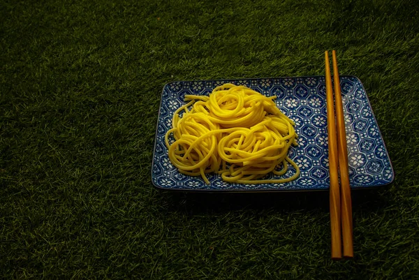 Fideos soba en un plato japonés sobre hierba verde, Obli — Foto de Stock