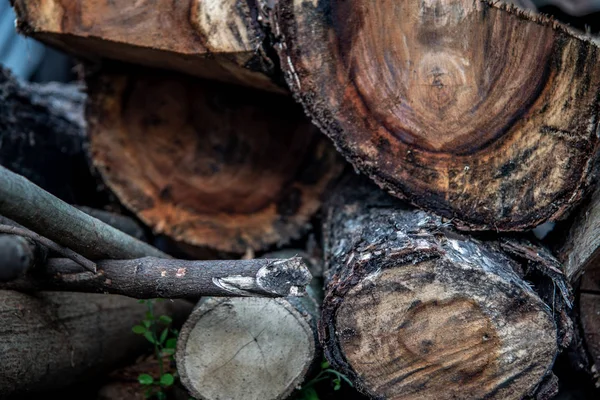 Pila de tocones de shorea obtusa listos para su uso en la construcción . —  Fotos de Stock