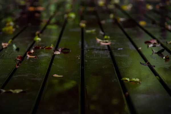 Close-up shots de oude bruine rustieke houten plankenvloer en gevallen — Stockfoto