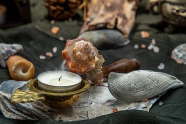 Yanan mum aromalı yağ lambası, kuru çiçek yaprakları ve çam kozalakları, doğal çam ağacı ağaç diski, taş ve kabuklu güzellik kompozisyonu, koyu arkaplanda Himalaya tuzu. Aromaterapi kavramı.