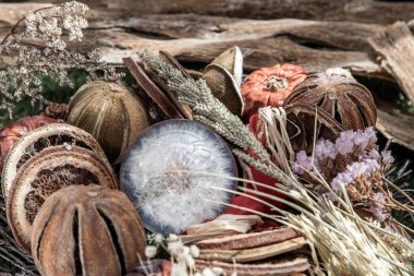 Kurumuş çiçeklerin ortasındaki kristal bardaktaki çiçeğin tazeliği. Dünya Çevre ve Ekoloji kavramı, Doğa arkaplanı.