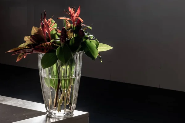 Bellissimo Mazzo Fiori Vaso Vetro Una Pietra Bianca Decorativa Bacino — Foto Stock