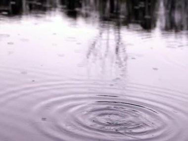 Çimlere düşen yağmur damlaları. Yağmur mevsiminde sağanak yağış nedeniyle çimen taşkınları. Suya düşen yağmur damlaları, sular altındaki çimlere düşen yağmur damlaları, ıslak ev bahçesine ağır ağır yağan yağmur damlaları. Yağmur yağıyor