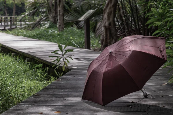 Paraguas Carmesí Colocado Una Pasarela Madera Día Soleado — Foto de Stock