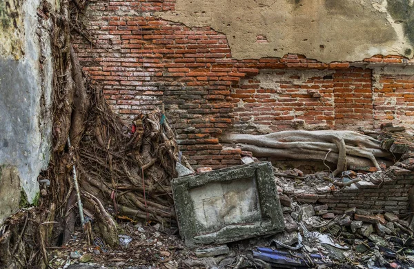 Het Patroon Van Boomwortels Groeit Oude Rode Bakstenen Muur Van — Stockfoto