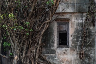 Eski binanın dış yüzeyini kaplayan birçok ağaç kökü zamanla bozulmaya bırakıldı. Geleneksel Mimarlık Biçimi, Seçici Odaklanma.