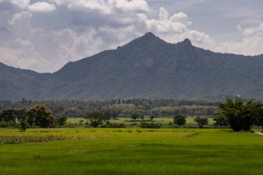 Tayland manzarası, yerel köyler ve arkası güzel güneş ışığı bulutları ve parlak mavi gökyüzü olan orman dağları. Tam olarak odaklanamıyorum..