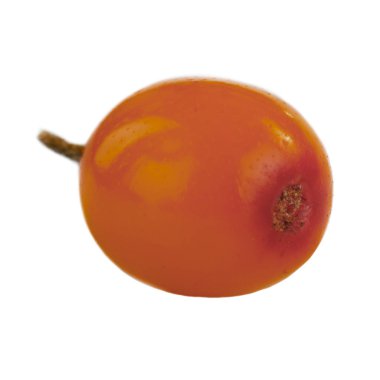sandthorn berry izole üzerinde beyaz arka plan