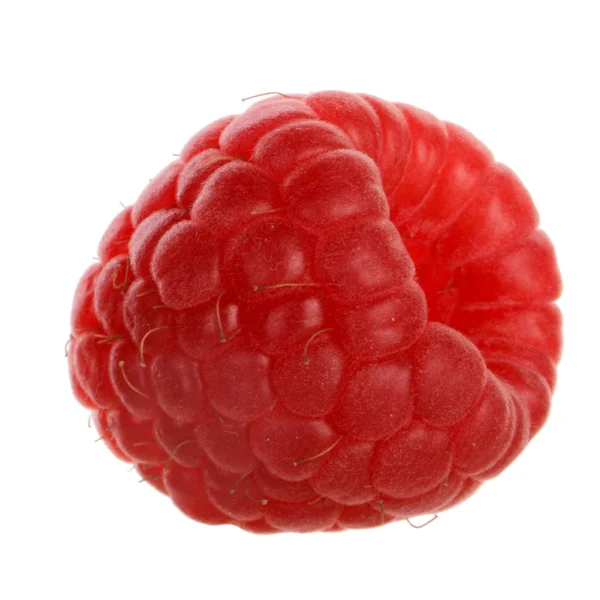 Ripe Red Raspberry Isolated White Background — Stock Photo, Image