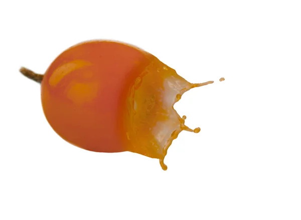 sandthorn berry izole üzerinde beyaz arka plan