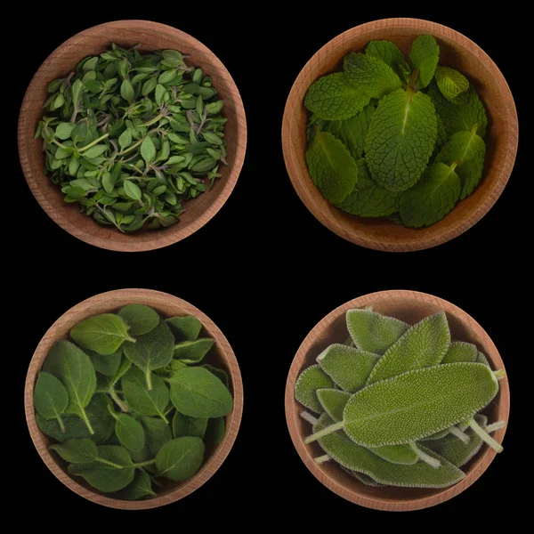 Closeup Zöld Növény Levelei Virágos Háttér — Stock Fotó