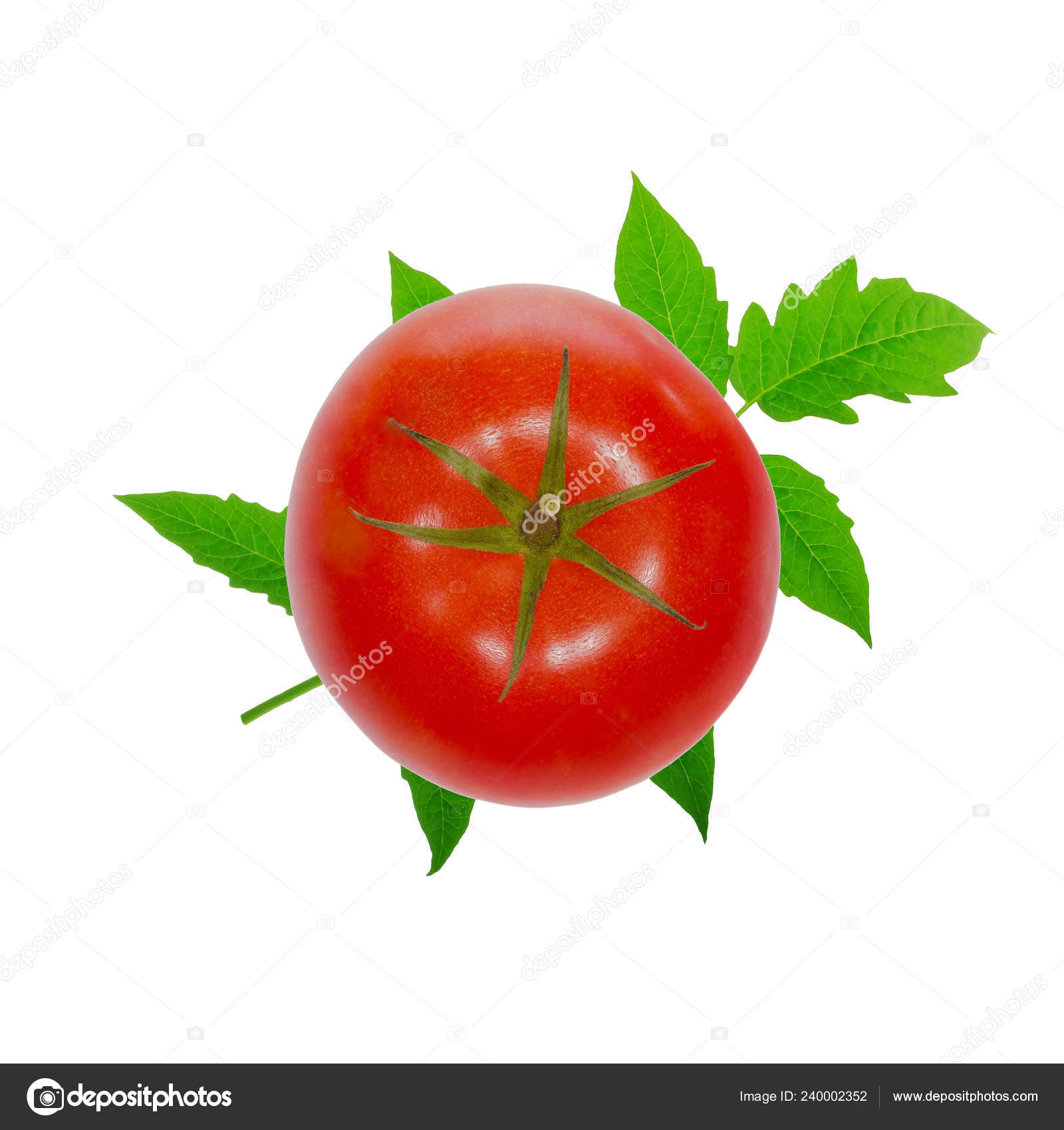 Red Ripe Tomato Isolated White Background — Stock Photo © lewal2005 ...
