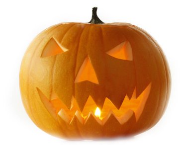 Beyaz arka planda izole balkabağı yakınçekim 