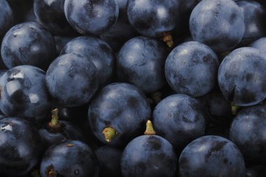 Üzüm demet izole üzerinde beyaz arka plan