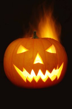 Koyu zeminde balkabağı yakın çekim. Cadılar Bayramı konsepti