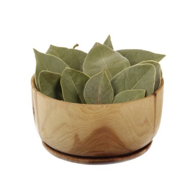 Yeşil bitki yapraklarının yakın çekim, çiçek arka plan 