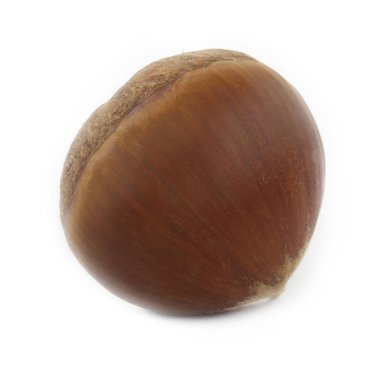 kestane rengi beyaz arkaplanda izole