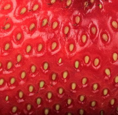 Taze çilek deseninin yakın çekim, gıda arka planı