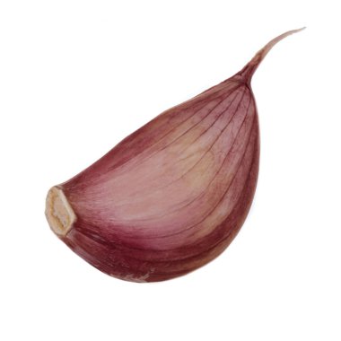 Beyaz arka planda izole sarımsak Closeup çekim 