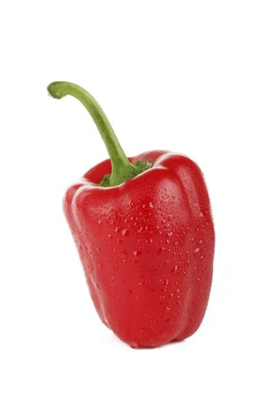 Closeup Pepper Isolated White — Stock Photo, Image