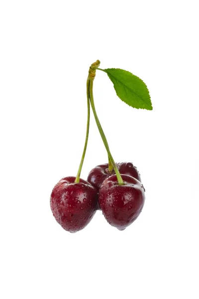 Cerises Rouges Isolées Sur Fond Blanc — Photo