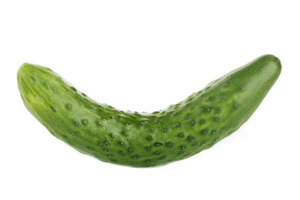 Ruwe Rijpe Groene Komkommer Geïsoleerd Witte Achtergrond — Stockfoto
