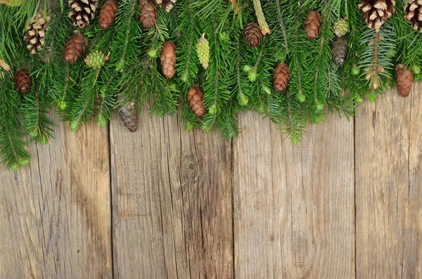 Closeup Pine Branch Cones Wood Christmas Background — Stock Photo, Image