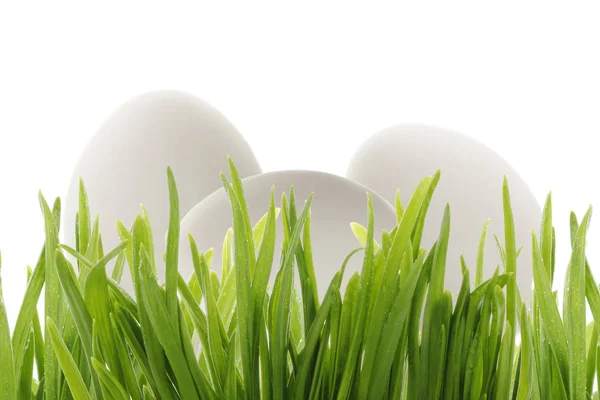 Renkli Yumurtaların Yakın Çekim Paskalya Arka Plan — Stok fotoğraf