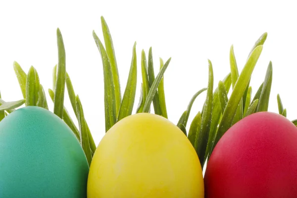 Primer Plano Huevos Colores Fondo Pascua —  Fotos de Stock