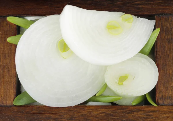 Soğan, gıda arka plan ile kase Closeup 