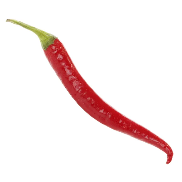 Piment Cayenne Isolé Sur Fond Blanc — Photo