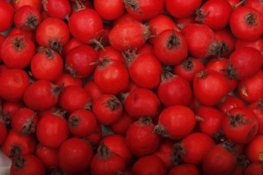 Arka plan için haw-çilek deseni closeup 