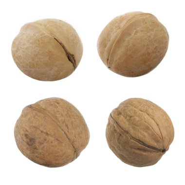 Beyaz arka planda izole edilmiş cevizin yakın çekim