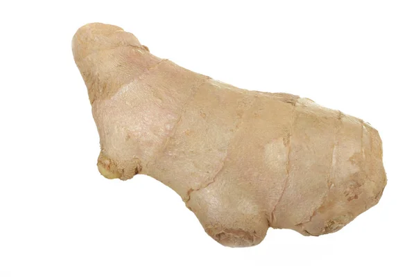 Beyaz arkaplanda zencefil kökü izole edildi