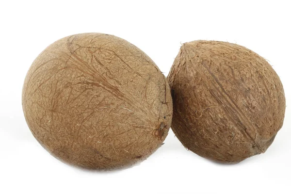 白い背景に隔離されたココナッツのクローズアップ — ストック写真