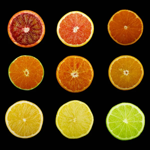 Closeup Assorted Citrus Fruits — Stock Photo, Image