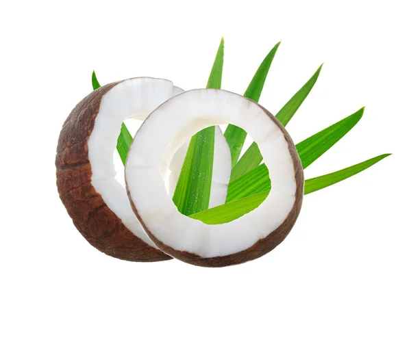 Geschnittene Kokosnuss Mit Palmblättern — Stockfoto