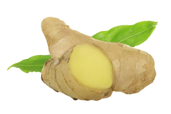 Beyaz arkaplanda zencefil kökü izole edildi