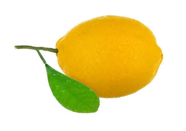 Стиглі Жовті Лимони Ізольовані Білому Тлі — стокове фото