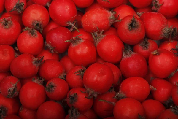 Fechar Padrão Haw Berries Para Fundo — Fotografia de Stock