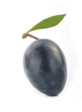 Beyaz üzerinde izole Erik closeup 