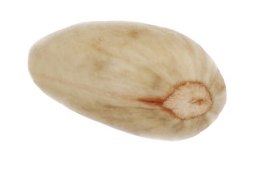 Beyaz arka planda izole antep fıstığının yakın çekim