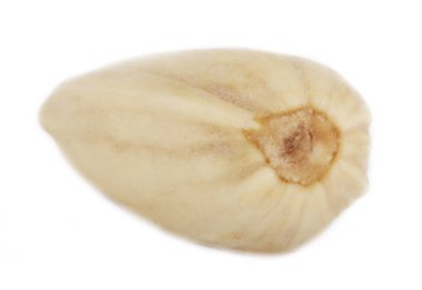 Beyaz arka planda izole antep fıstığının yakın çekim