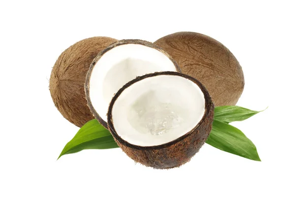 Kokosové Ořechy Listy Izolované Bílém Pozadí — Stock fotografie