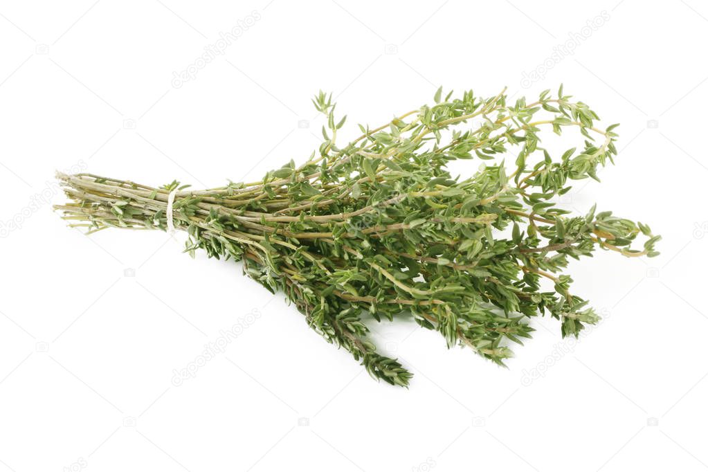 Closeup of thyme on white background 