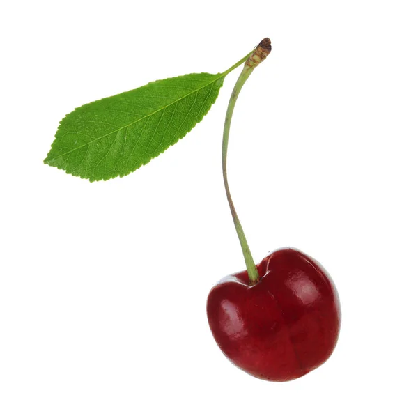 Jediné Červené Cherry Izolovaných Bílém Pozadí — Stock fotografie