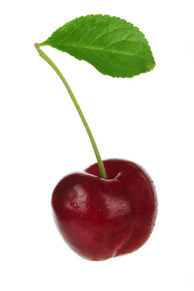 Closeup Cherry Isolated Bílém Pozadí — Stock fotografie
