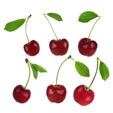 set of cherry berries isolated clipart